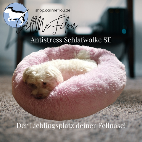 CallMeFilou - Antistress Schlafwolke SPECIALEDITION, Gr. M/60cm in rosa + Anschnallgurt "Little Filou"