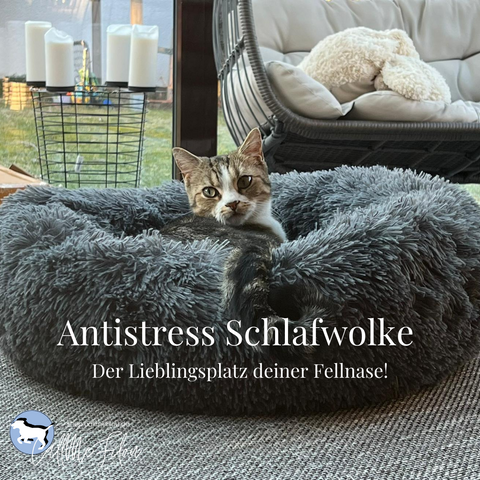 CallMeFilou - Antistress Schlafwolke SPECIALEDITION, Gr. M/60cm in anthrazit + Anschnallgurt "Little Filou"